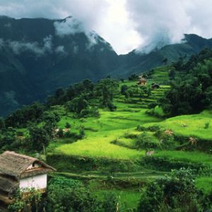 Paisaje montañoso verde