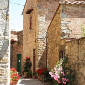 Encantadora Callejón de Piedra