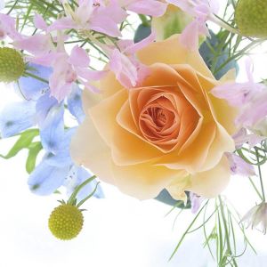 Hermosa Composición Floral