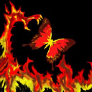 Arte del Dragón de Fuego y Mariposa