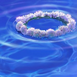 Corona Floral en el Agua
