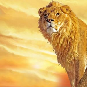 León Majestuoso al Atardecer
