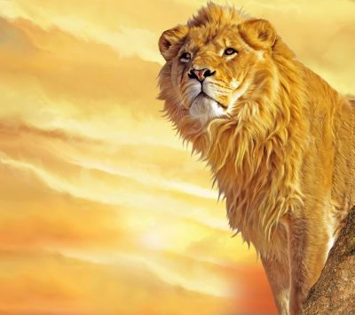 León Majestuoso al Atardecer
