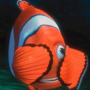 Pez payaso bajo el agua
