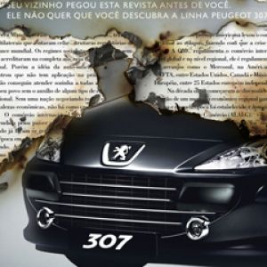 Fondo de Peugeot 307