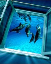 Delfines nadando en agua azul