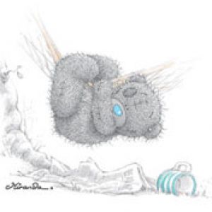 Teddy Bear Gris Adorable