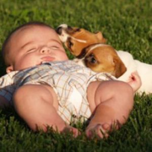 Bebé y Cachorros