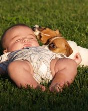 Bebé y Cachorros