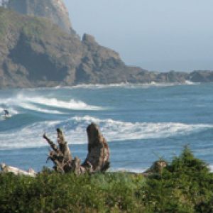 Olas Oceánicas Serenas