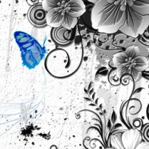Arte Floral con Mariposa