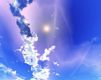 Cielo Hermoso con Nubes