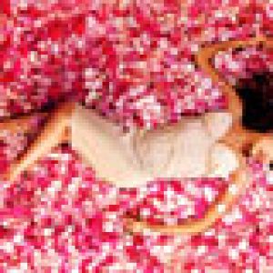 Mujer Hermosa entre Pétalos de Flores