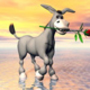 Burro Bonito con Rosa