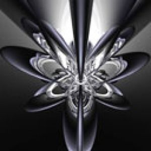 Diseño Abstracto Negro y Plata