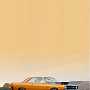 Coche Clásico de Musculación Naranja