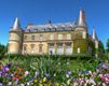Hermoso Castillo con Flores