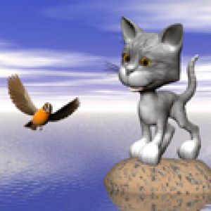 Gato y Pájaro Lindos