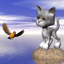 Gato y Pájaro Lindos