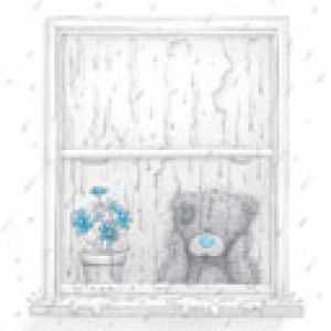 Teddy Bear Lindos en la Ventana