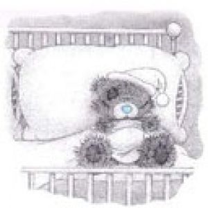 Teddy Bear Durmiendo