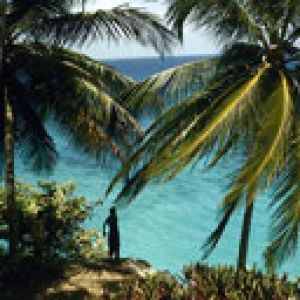 Paraíso Tropical