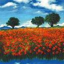 Paisaje de Amapolas Vibrantes
