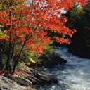 Paisaje de Río en Otoño