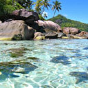 Paraíso de Playa Tropical