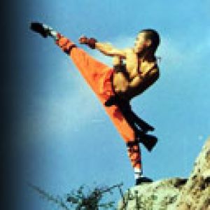 Patada en artes marciales