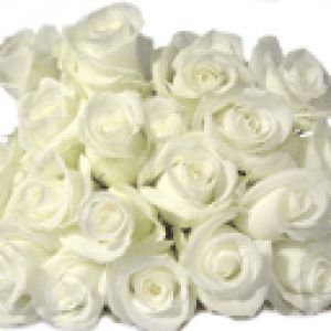 Ramo de Rosas Blancas