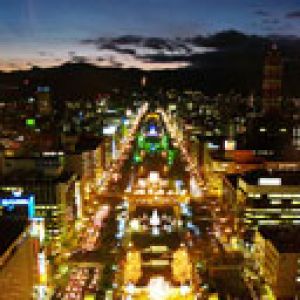 Horizonte de la ciudad de noche