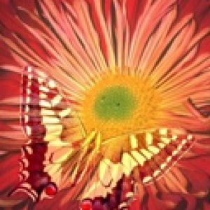 Mariposa en Flor