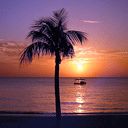 Atardecer en la Playa con Palma