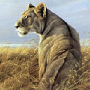 Majestuosa Leona en la Naturaleza
