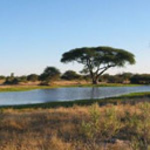 Paisaje Natural Sereno