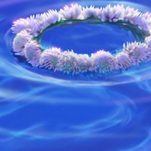 Corona Floral en el Agua