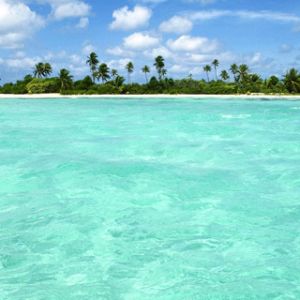 Paraíso de Playa Tropical