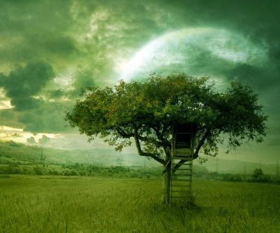Casa en el árbol en un paisaje místico