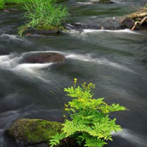 Paisaje de Río Sereno