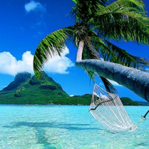 Paraíso Tropical con Palma