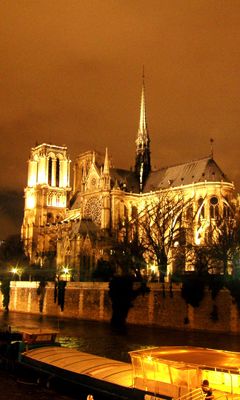 Catedral de Notre Dame de Noche