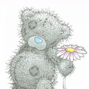 Teddy Bear Bonito con Flor