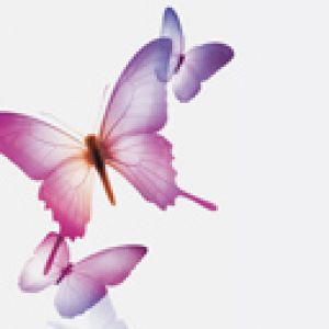 Mariposas Coloridas