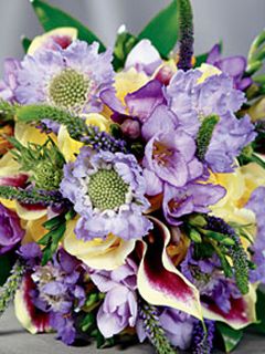 Hermoso Ramo de Flores