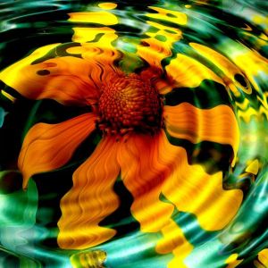 Reflejo de Flor Vibrante