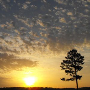 Atardecer sobre Colinas