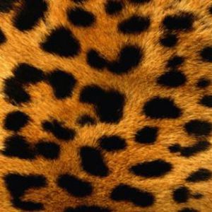 Patrón de Leopardo