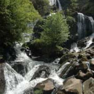 Paisaje de Cascadas Serenas