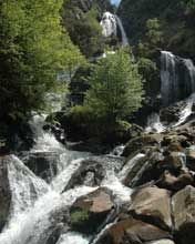 Paisaje de Cascadas Serenas